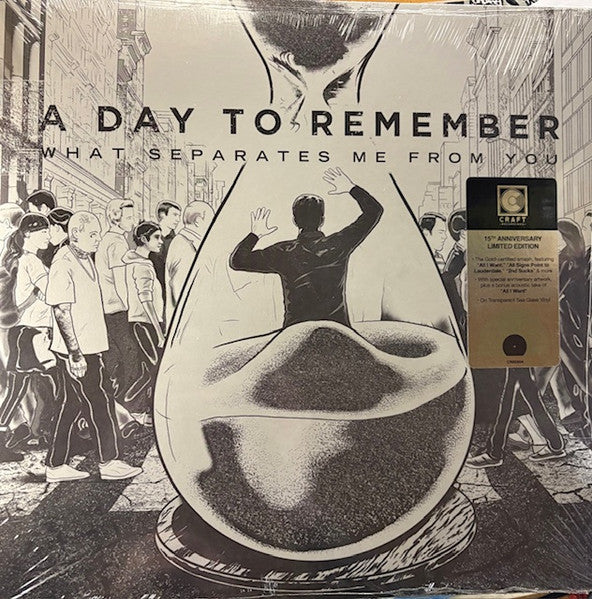 A Day To Remember / What Separates Me From You - LP SEA GLASS