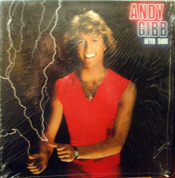 Andy Gibb / After Dark - LP Used