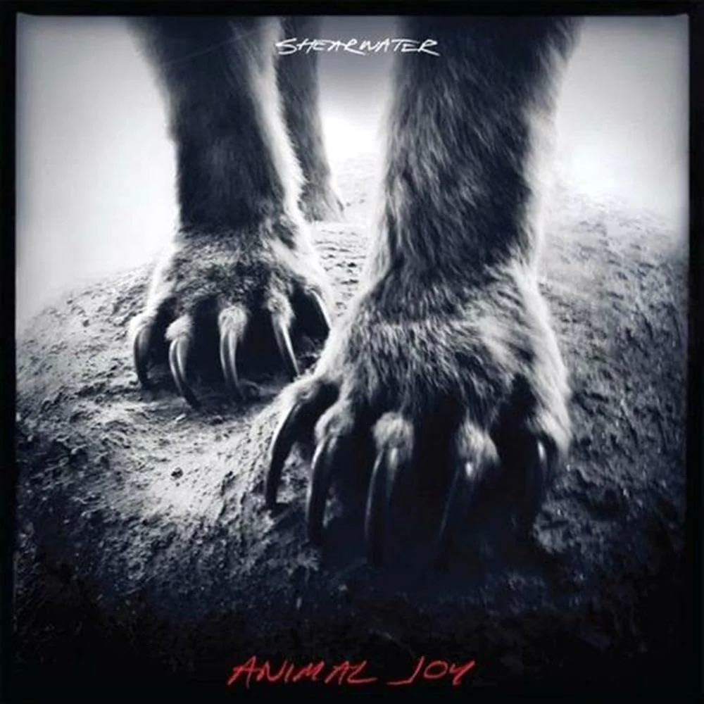 SHEARWATER / Animal Joy - CD (Used)