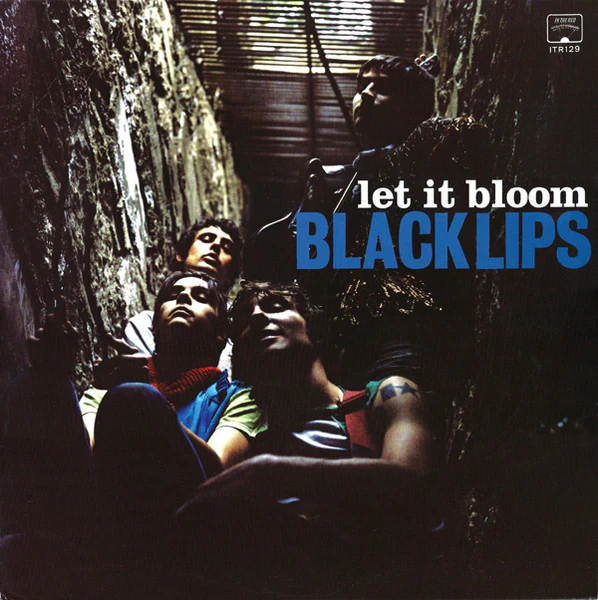Black Lips / Let It Bloom - LP USED