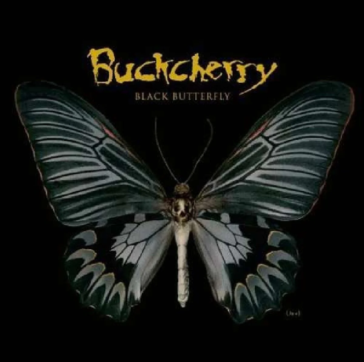 BUCKCHERRY - BLACK BUTTERFLY