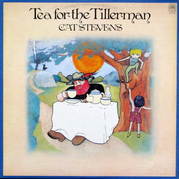 Cat Stevens / Tea For The Tillerman - LP, Album, RE (VG+/VG+)