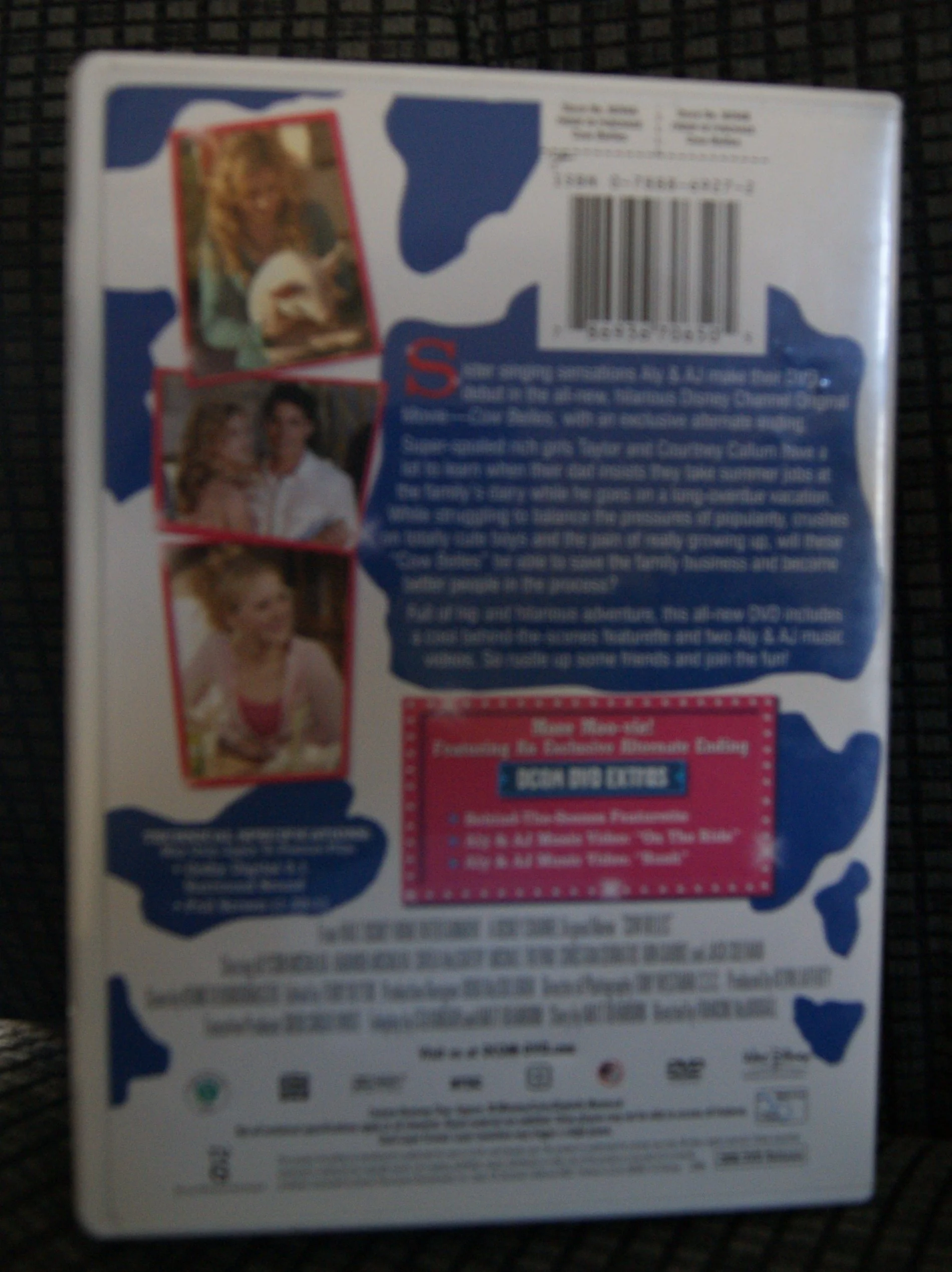 Cow Belles - Image 2