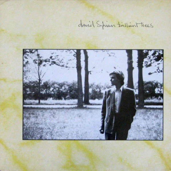 David Sylvian / Brilliant Trees - LP Used