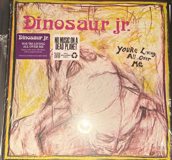 Dinosaur Jr. / You're Living All Over Me - LP, Album, Ltd, RE, Eco (M/M)