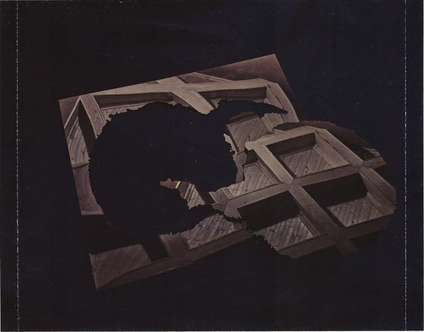 Dirty Projectors / Dirty Projectors - CD, Album (M/M) - Image 3