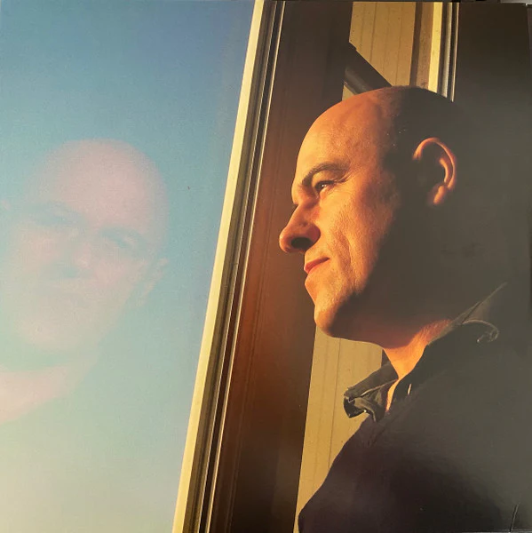 Dominique A. / Vie Étrange - LP, Album (M/M)
