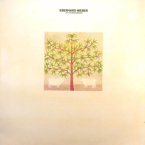 Eberhard Weber / The Following Morning - LP Used