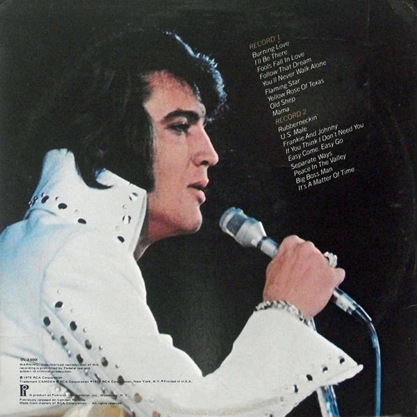 Elvis Presley / Double Dynamite! - 2xLP, Comp (VG/VG) - Image 2