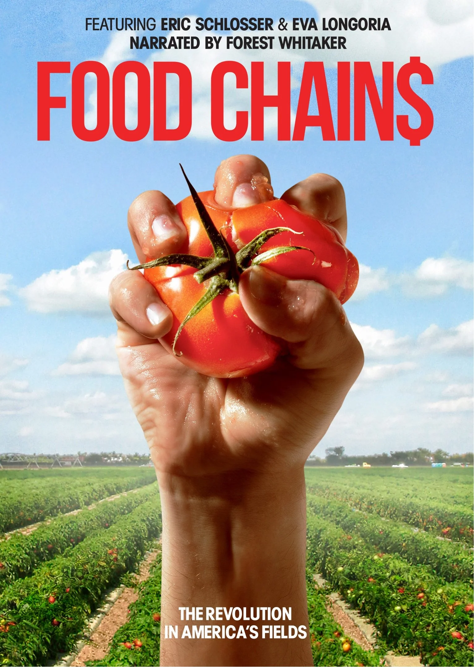 Food Chains - DVD