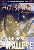 Giant Summer Walleye - DVD