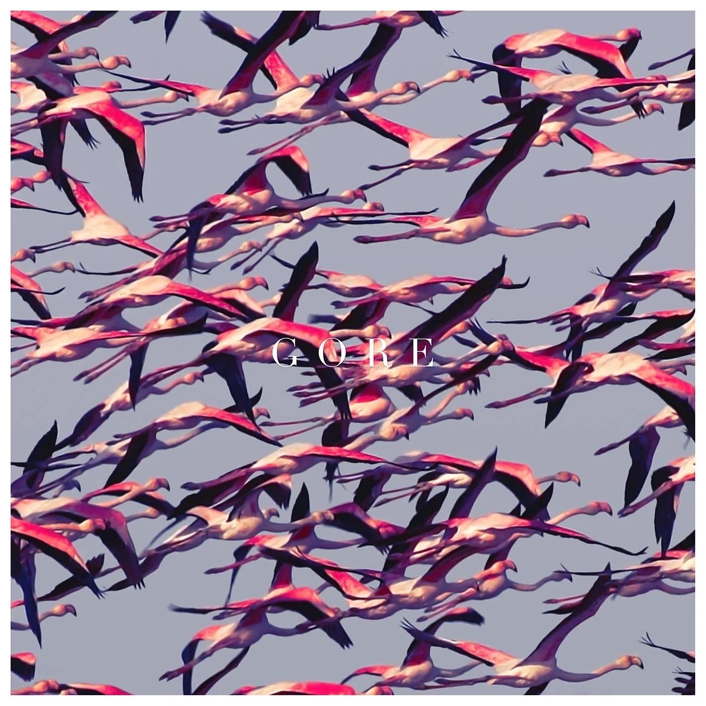 Deftones / Gore - CD