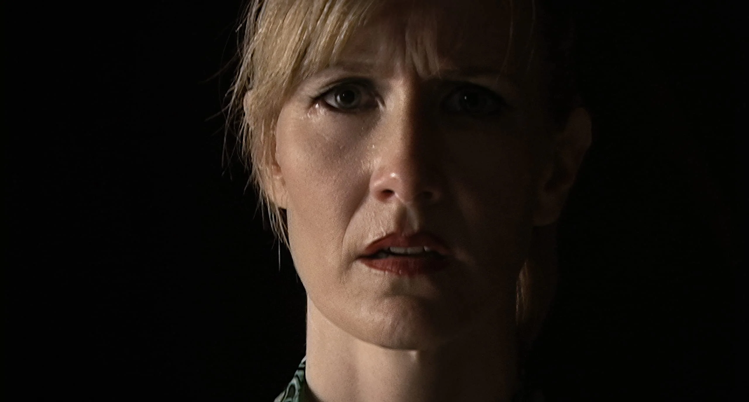 Inland Empire (The Criterion Collection) - Blu-Ray - Image 2