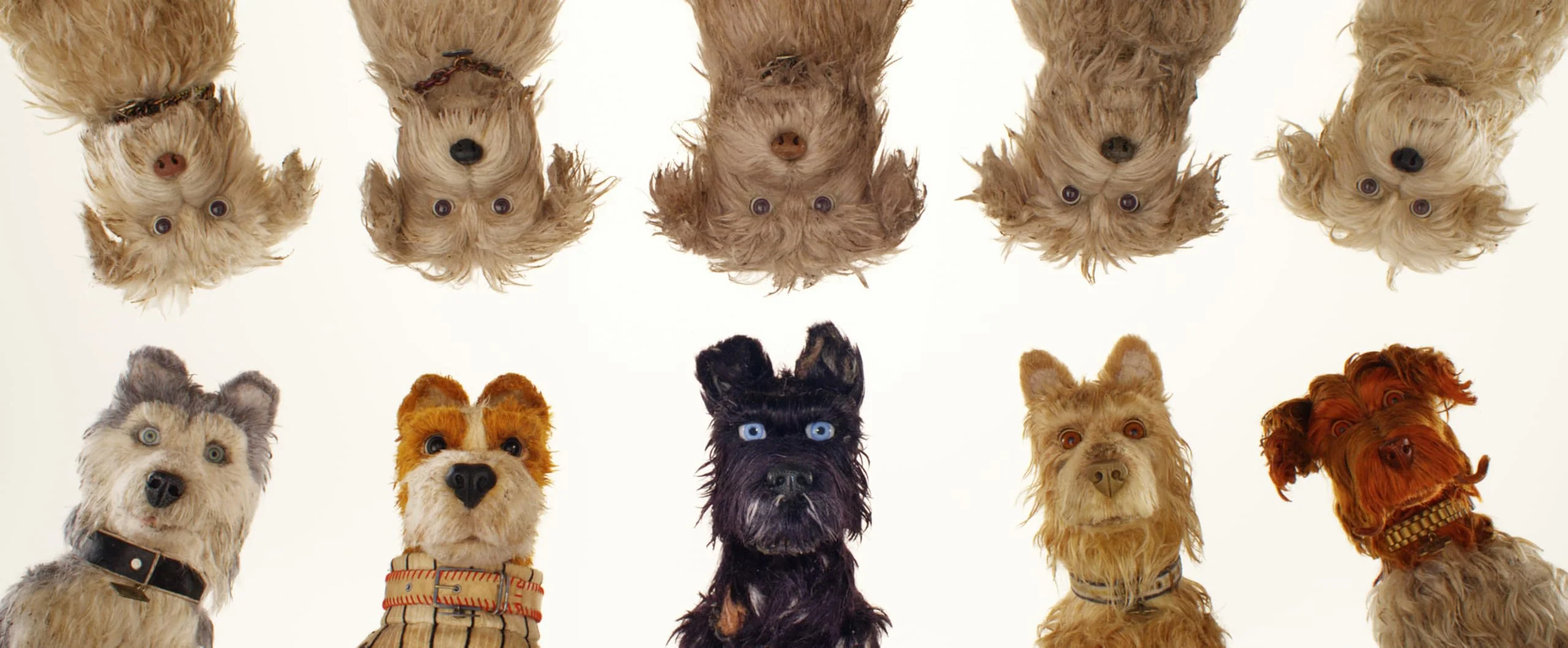 Isle Of Dogs (The Criterion Collection) - 4K - Image 2