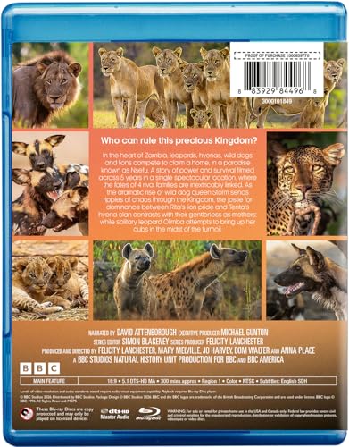 Kingdom - Blu-Ray - Image 3
