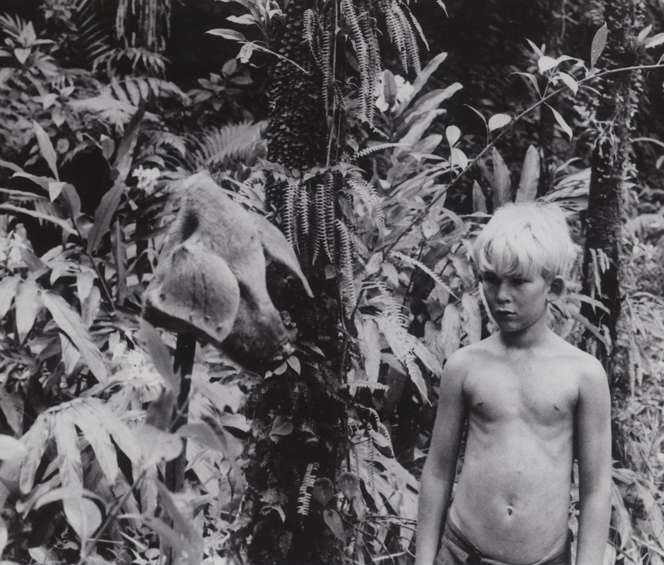 Lord Of The Flies (The Criterion Collection) - Blu-Ray - Image 3