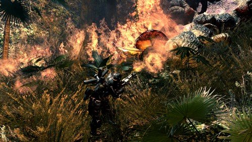 Lost Planet 2 - Playstation 3 - Image 11