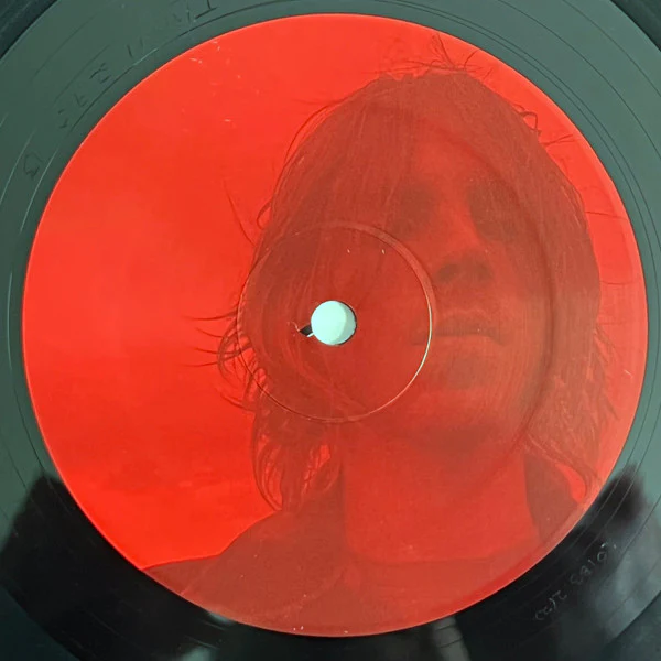 Luke Roberts / The Iron Gates At Throop And Newport - LP, Album (M/M) - Image 4