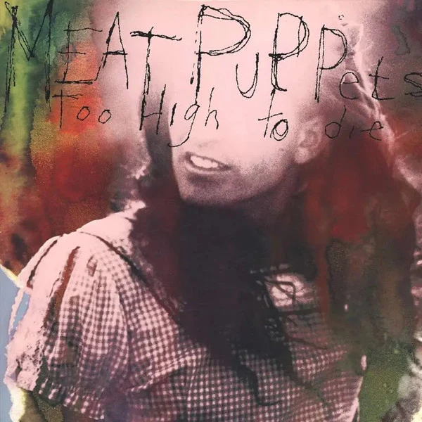 Meat Puppets / Too High To Die - LP
