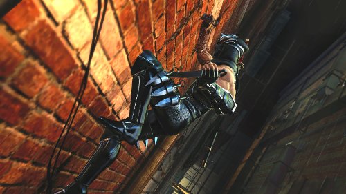 Ninja Gaiden 3 - Image 26