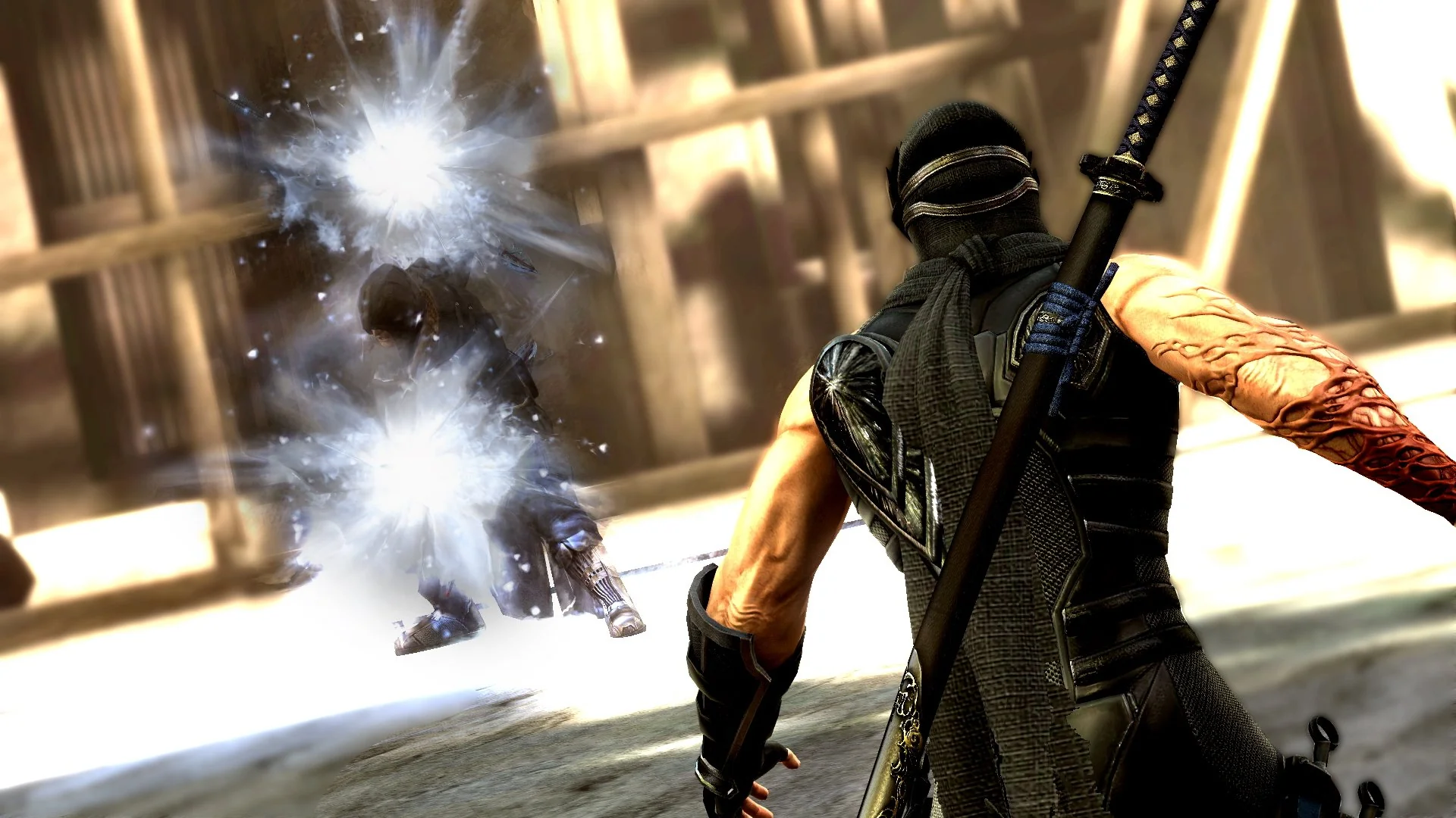 Ninja Gaiden 3 - Image 36