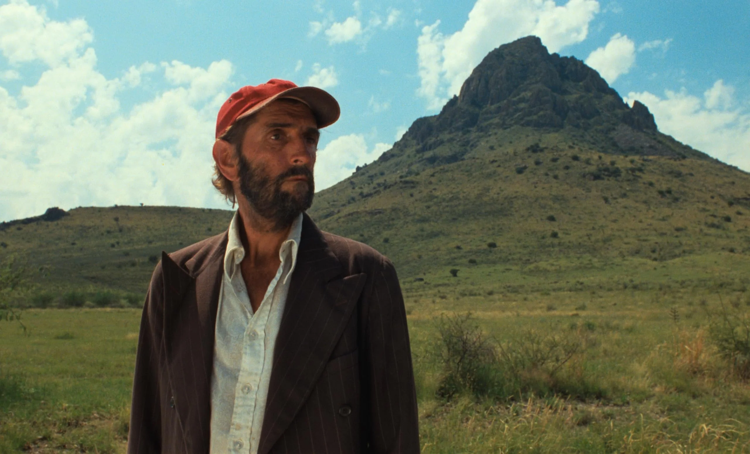 Paris, Texas (The Criterion Collection) - 4K - Image 2