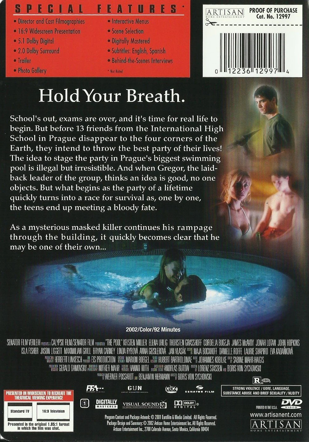 Pool (Widescreen) - Image 2