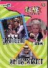 Slapstick Studio: Great Gizmo & Picture Perfect