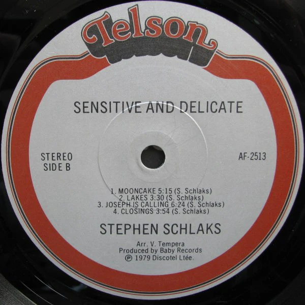 Stephen Schlaks / Sensitive And Delicate - LP, Album (VG+/VG+) - Image 4