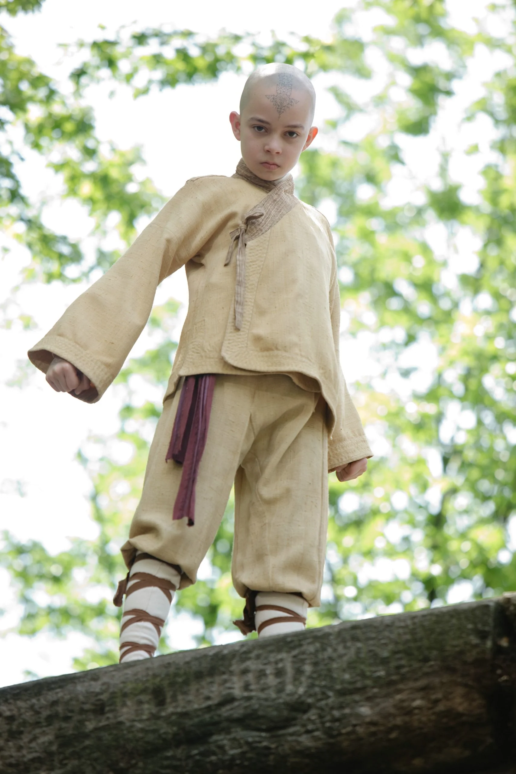 The Last Airbender / Le Dernier Maître de l'air (Bilingual) - Image 4