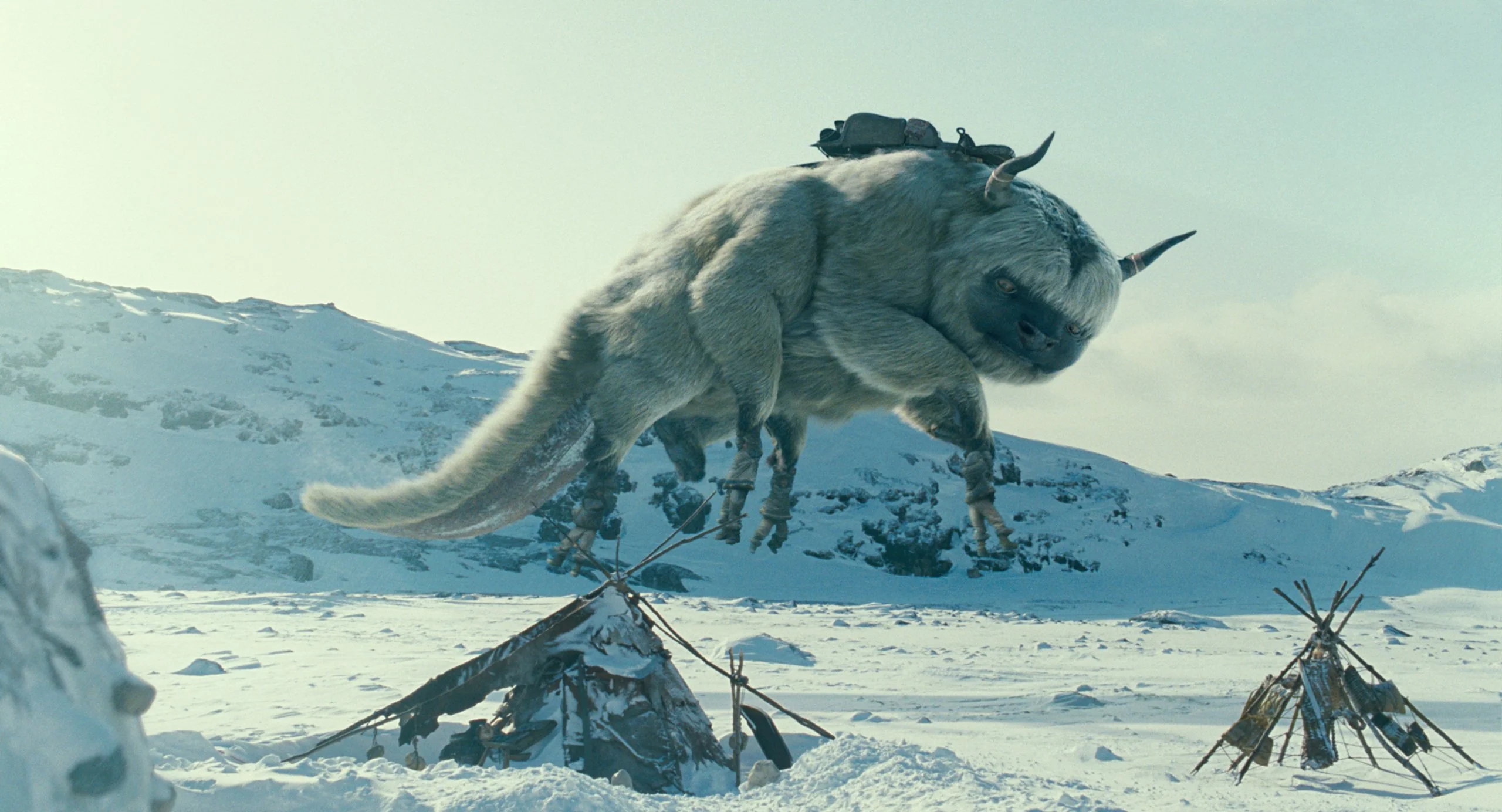 The Last Airbender / Le Dernier Maître de l'air (Bilingual) - Image 6