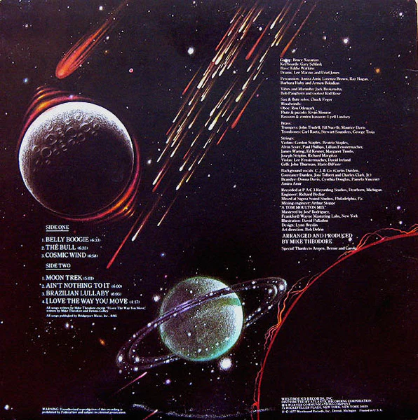 The Mike Theodore Orchestra / Cosmic Wind - LP USED - Image 2