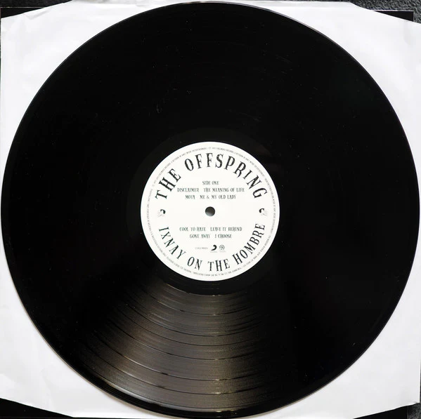 The Offspring / Ixnay On The Hombre - LP, Album, Ltd, RE, 180 (VG+/VG+) - Image 5