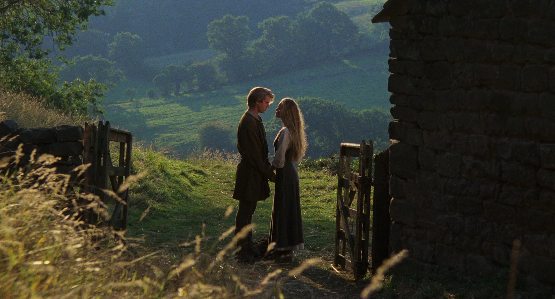 The Princess Bride (The Criterion Collection) - DVD - Image 2