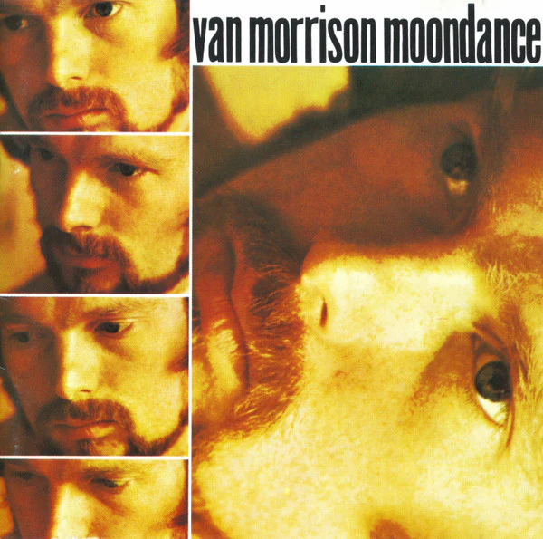Van Morrison / Moondance - CD, Album, Club, RE (VG+/VG+)