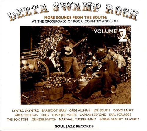 Various / Delta Swamp Rock 2 (More Sounds From The South 1968-75: At The Crossroads Of Rock, Country And Soul) - CD, Comp (M/M)